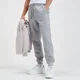 Joggers - Gris Pardo