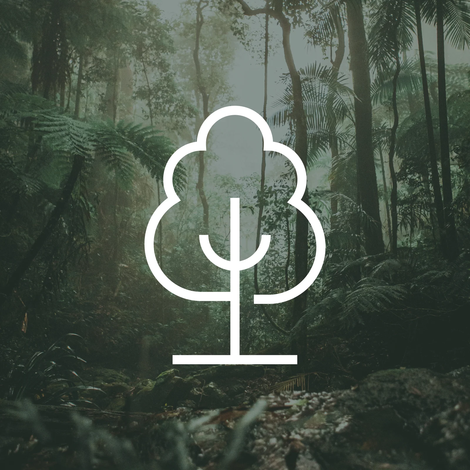 1 árbol plantado a través de THG (más:árboles) Imagen 1
