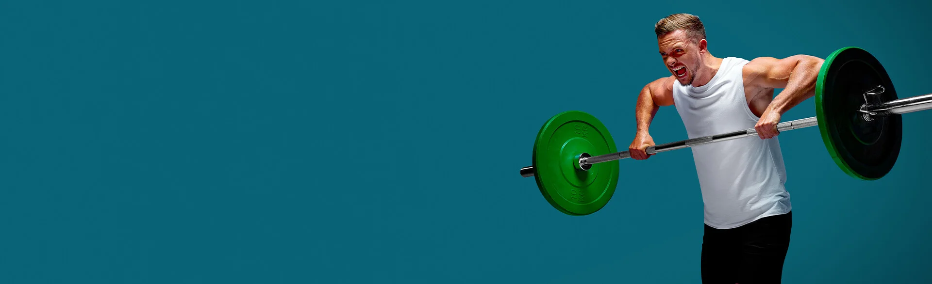 Best Why Protein Powders