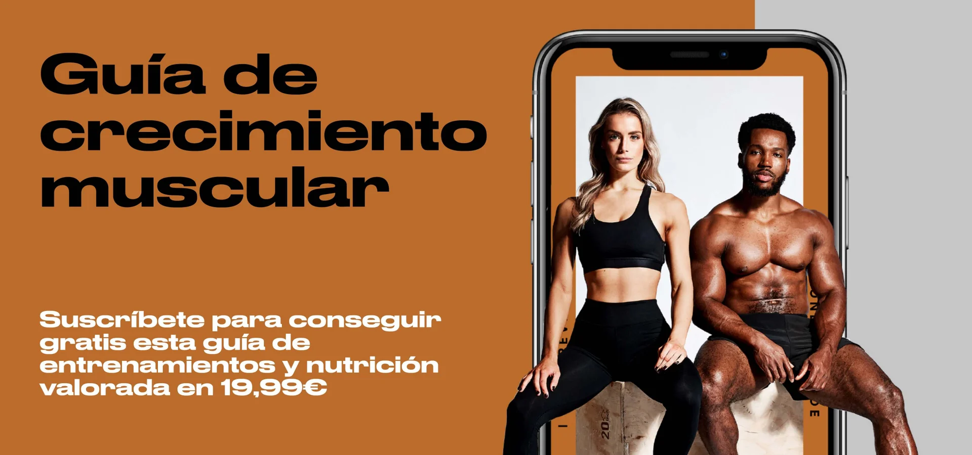 Banner image