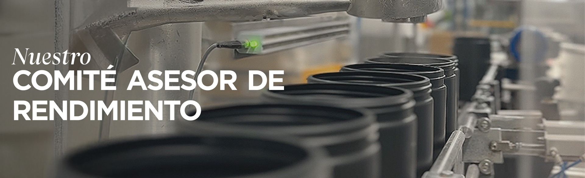 Nuestro Comité Asesor de Rendimiento